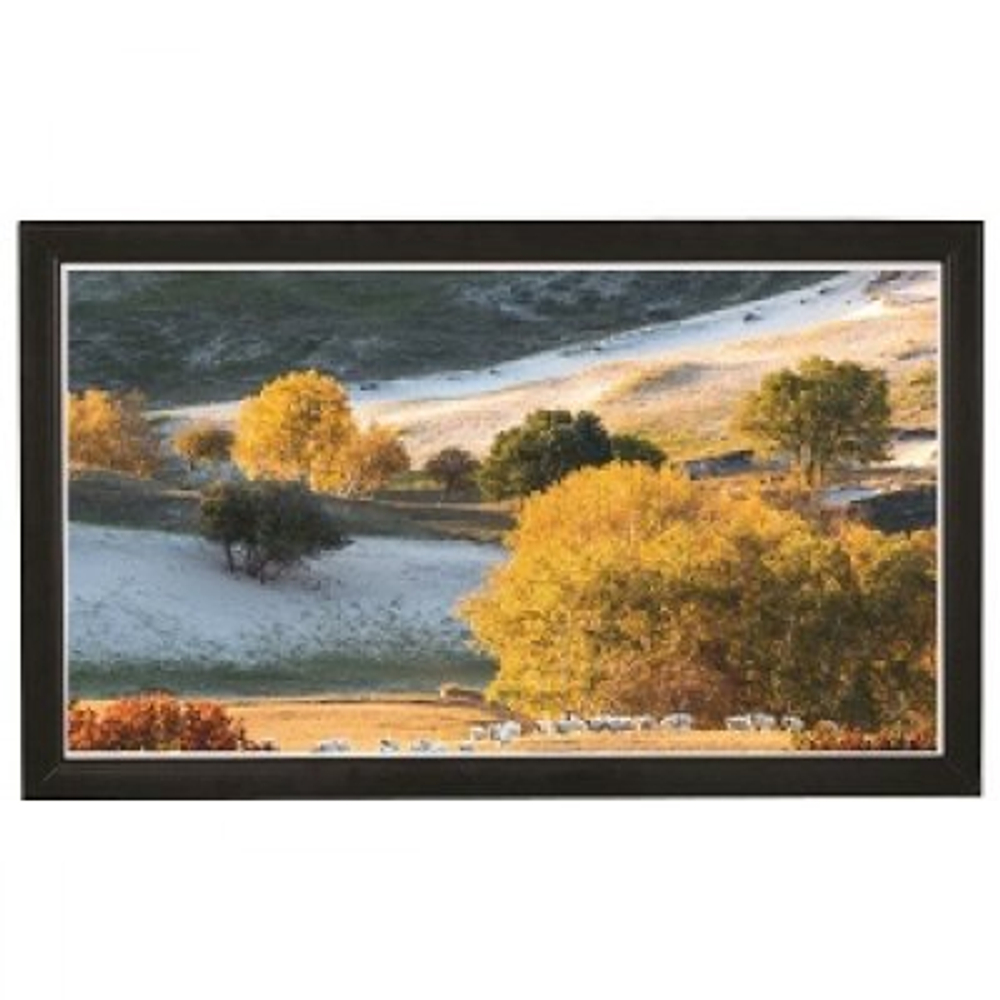 Экран для проектора Viewscreen Omega OMG-16904