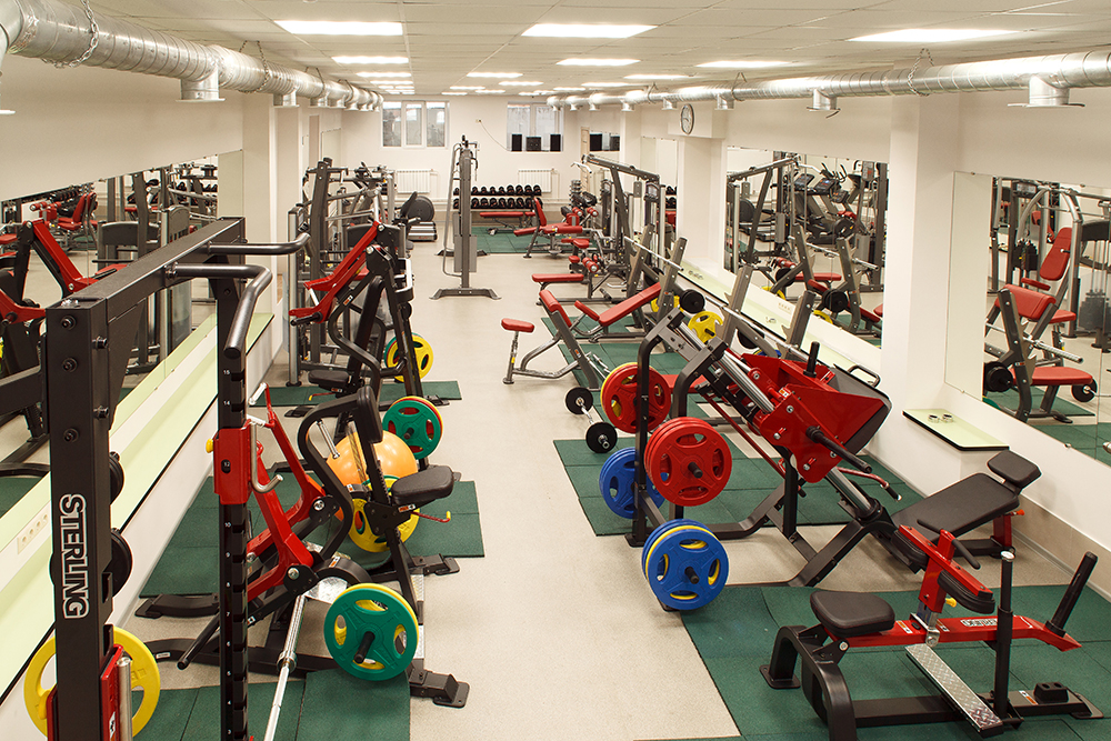 Impulse SL7017 икроножные сидя, профессиональный тренажер