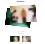 Винил RM (BTS) - Right Place Wrong Person LP