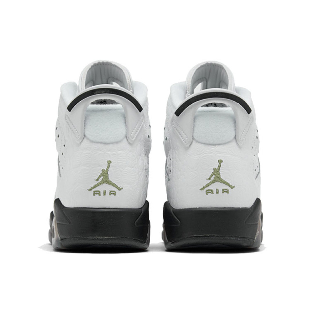 Кроссовки Air Jordan 6 Retro GS Alligator