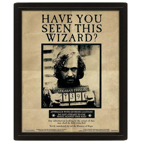 3D картина в рамке Harry Potter (Potter / Sirius) EPPL71245