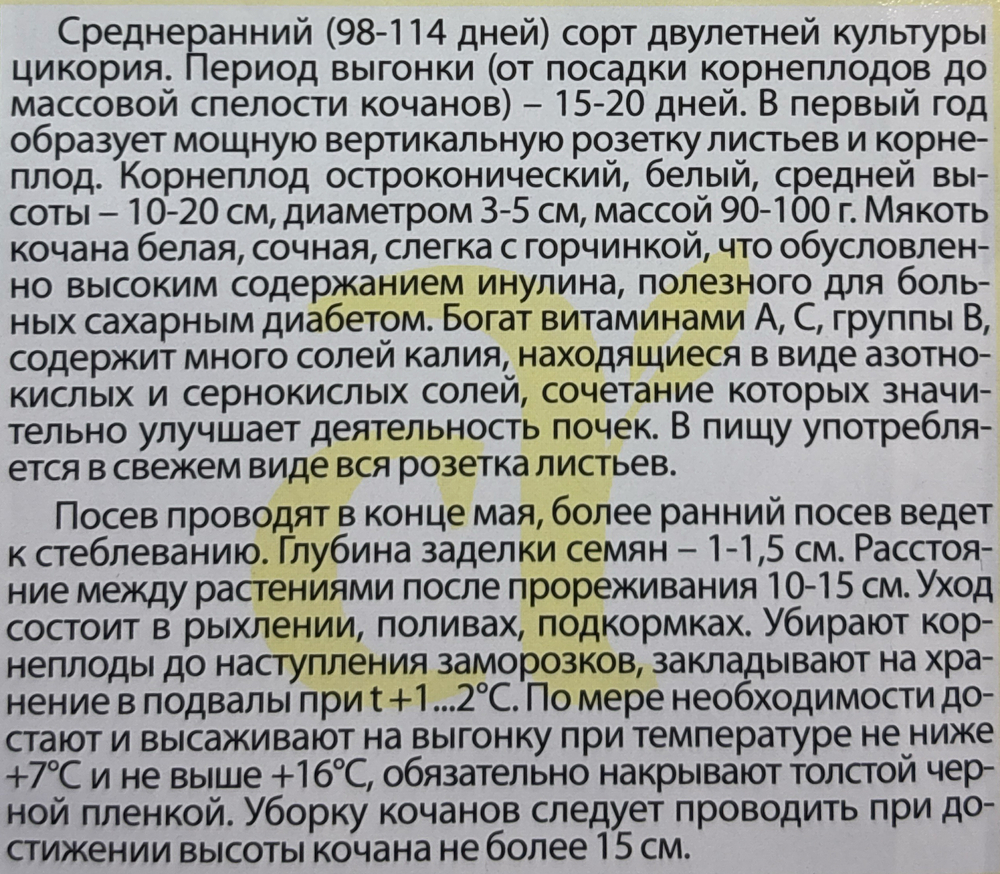 Салат Цикорий Витлуф 0,5 г СМЗ-171