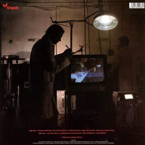 The Michael Schenker Group / The Michael Schenker Group (LP)