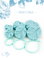 Брассика