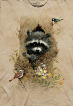 Wee Raccoon