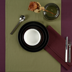 Набор салфеток под приборы 2шт 35х45 Tkano Wild бордовый