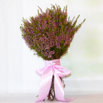 Букет сухоцветов  из Вереска натурального, 33х25 см