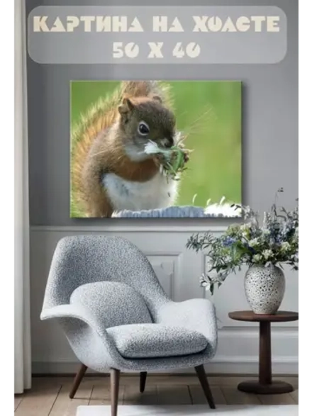 Картина на стену 40 X 50 Белка