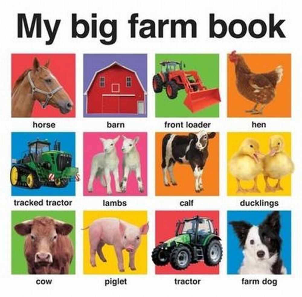 My Big Farm Book (board book)