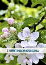 Карты Текучего Существования