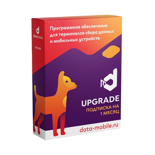 DataMobile Upgrade – подписка на 1 месяц