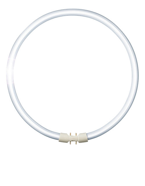 Лампа РН MASTER TL 5 circular super 80 PRO40W/840_