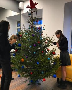 Живая елка русская