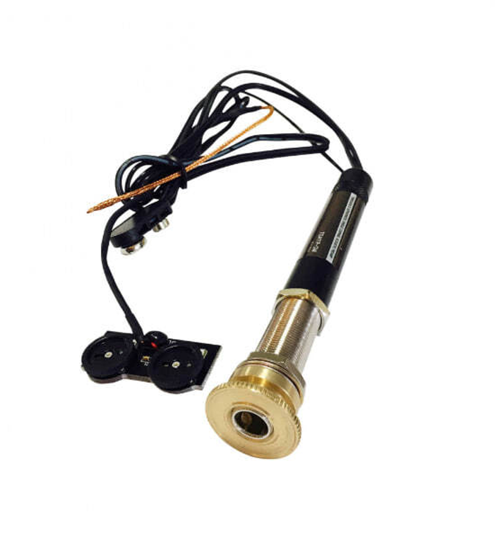 Акустическая гитара Gopherwood G330CE