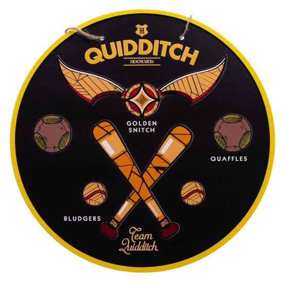 Постер Гарри Поттер Команда Квиддич WSD030