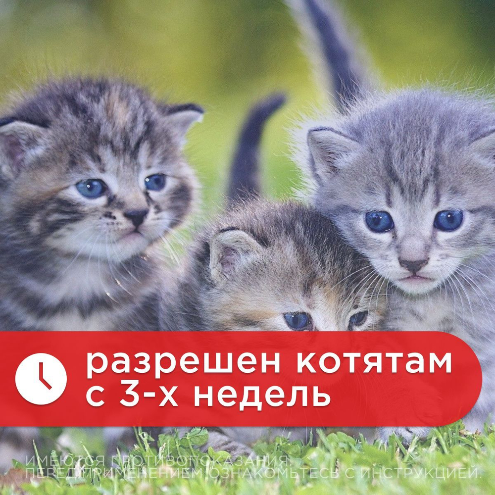 Суспензия для кошек от всех видов гельминтов и глистов АВЗ Диронет со шприцом дозатором, 15 мл пирантел/ празиквантел/ ивермектин
