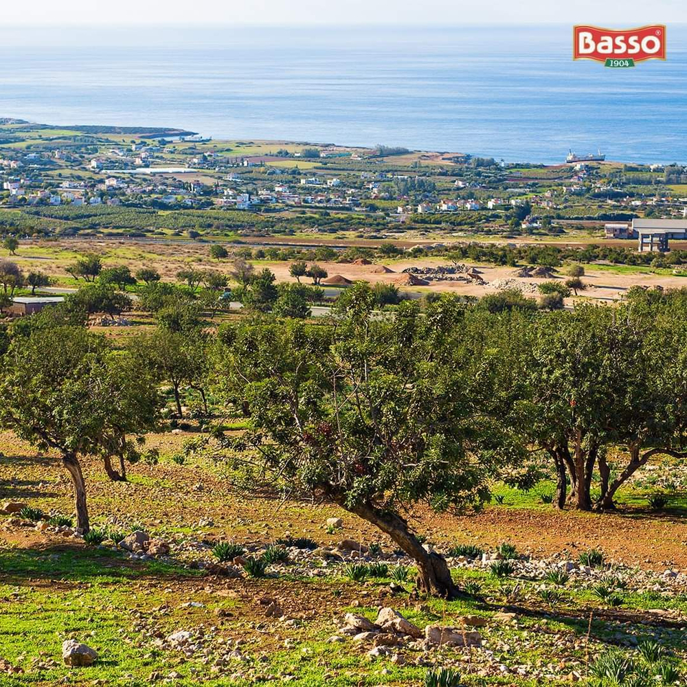 Оливковое масло BASSO (Pure) 3 литра в жестяной банке-канистре Италия