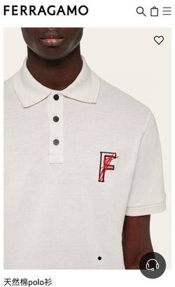 Поло Salvatore Ferragamo