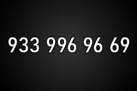 9339969669