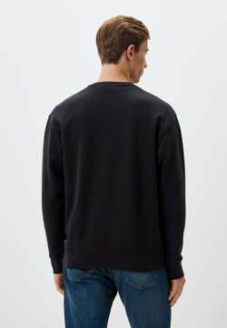 Толстовка мужская LEVI'S RELAXD GRAPHIC CREW