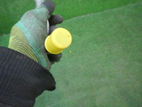 DSCN4449.JPG