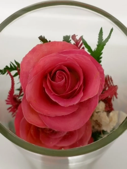 натуральные кустовые розы в стекле, вакуум*