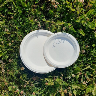 БИО Тарелка 225*18мм одн.биоразалагаемая Белая /6шт