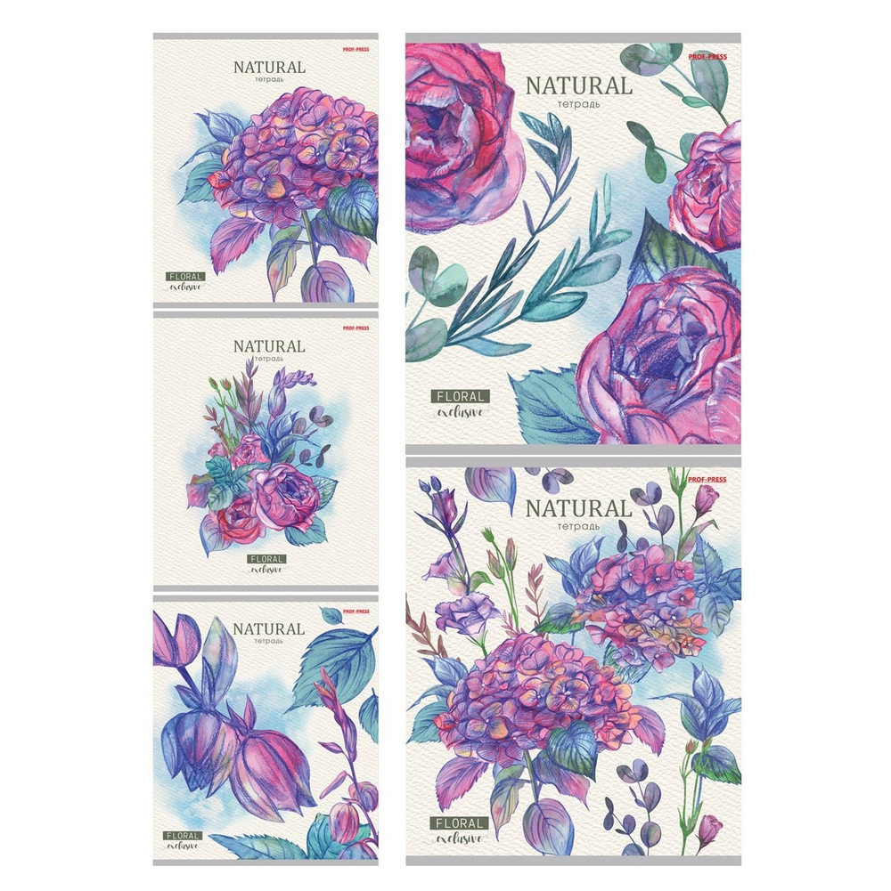 Тетрадь 24л., линия, Проф-Пресс, скрепка, офсет, мелованный картон "Нарисованные цветы", 5 диз. в спайке