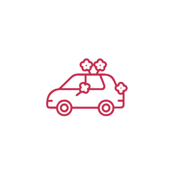 Новая