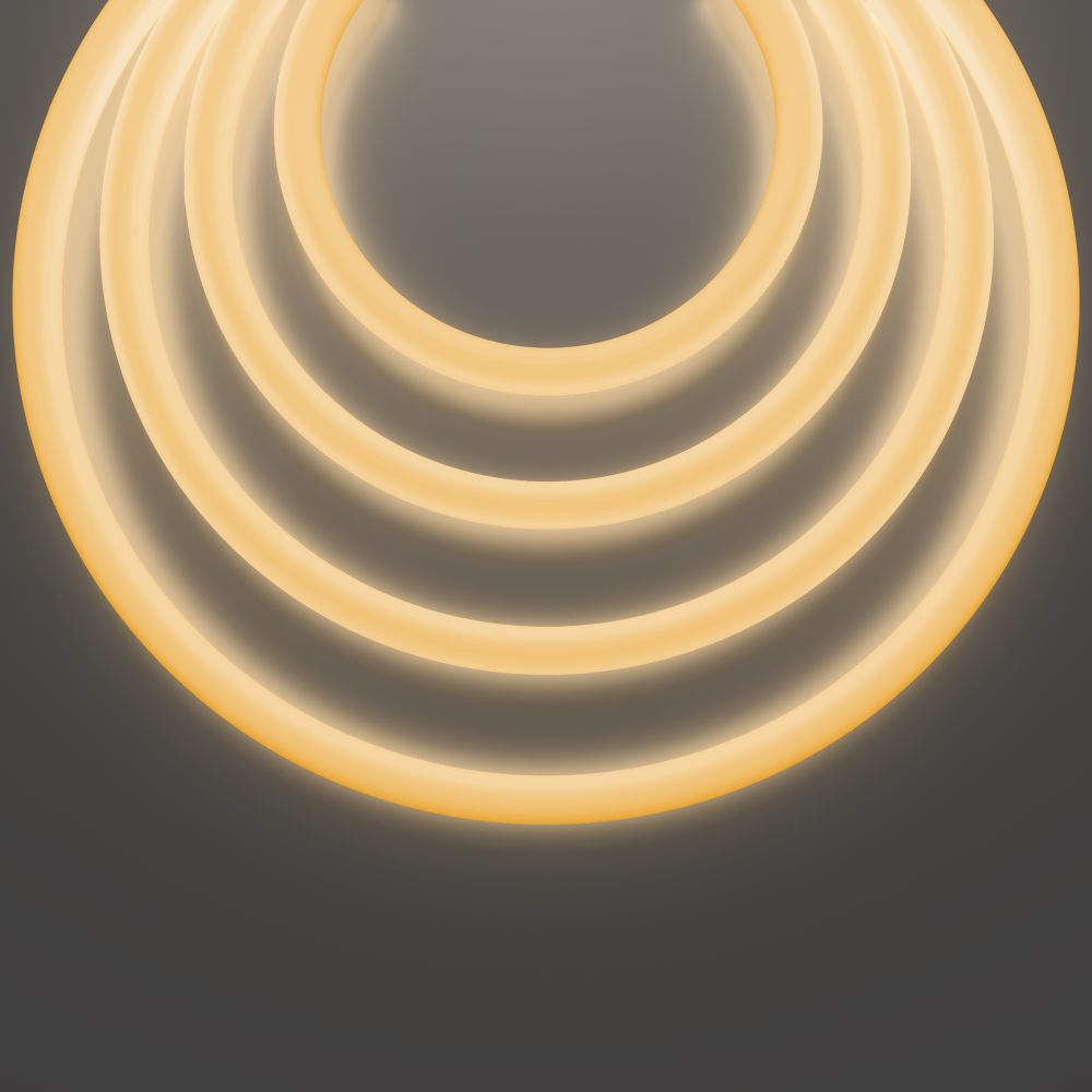 Гибкий неон Led Strip 20300