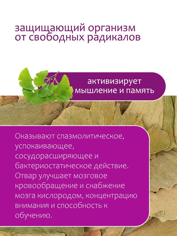 Гинкго билоба
