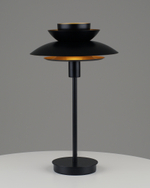 Лампа настольная Moderli V11295-1T Shaggy