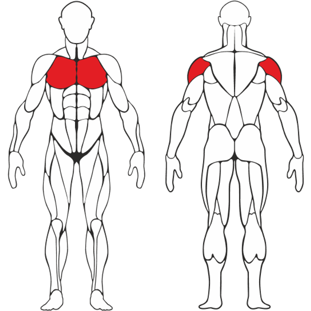 Баттерфляй- задние дельты,свободный вес Черный