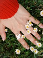 Кольцо Гортензия