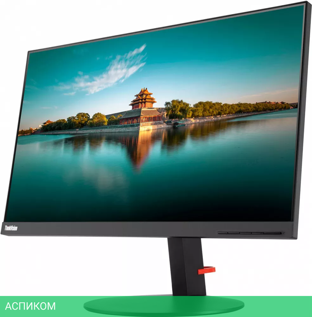Монитор Lenovo ThinkVision P24h (61AEGAT3EU)