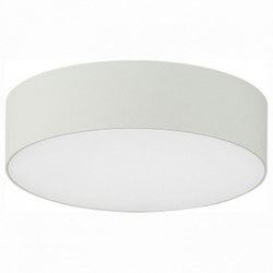 Накладной светильник Citilux CL712120N