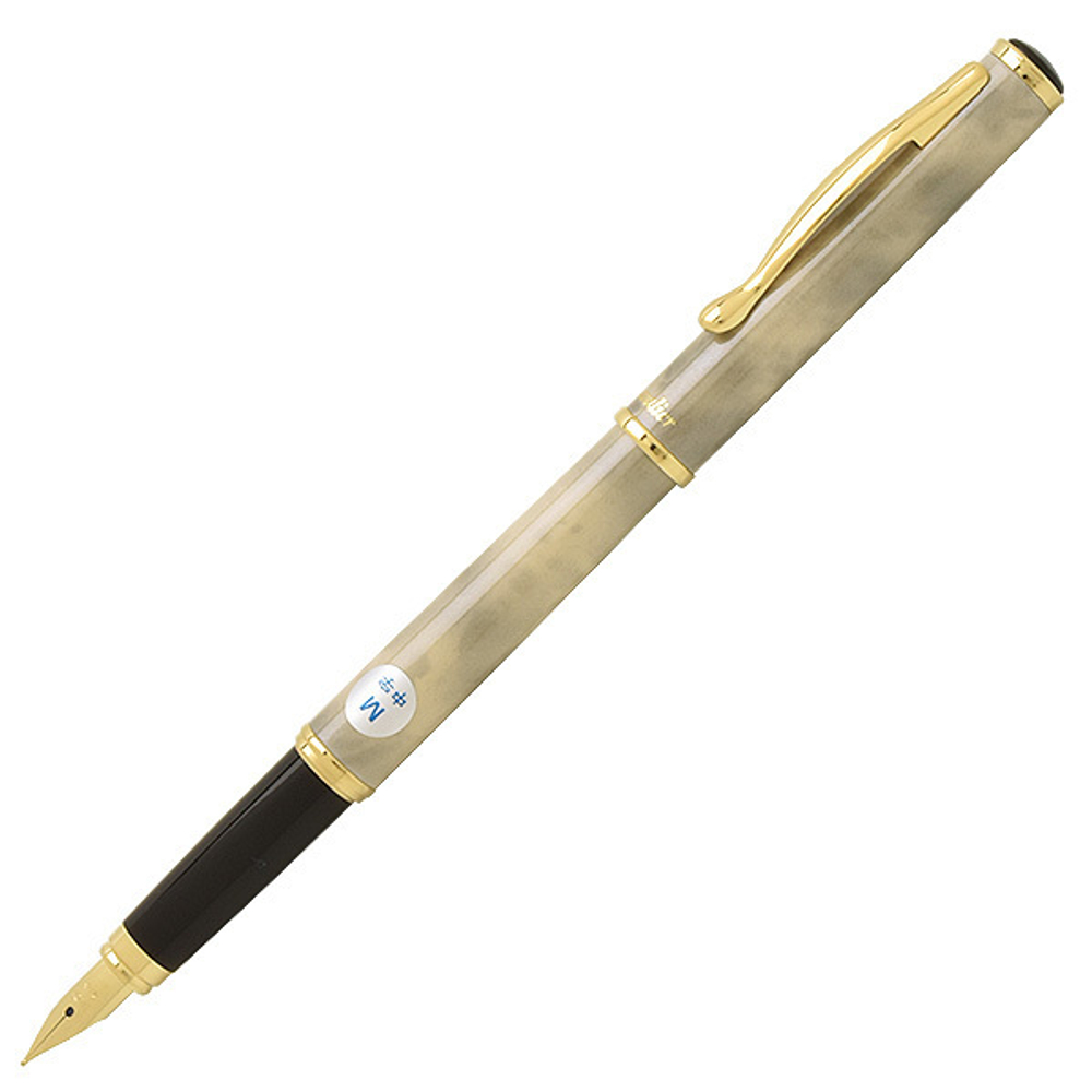 Перьевая ручка Pilot Cavalier FCA-5SR (серебристо-серая, перо Medium)