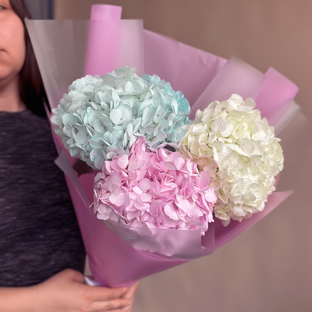 Разноцветные гортензии 3 шт