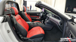 Ford Mustang Convertible (11.2022)