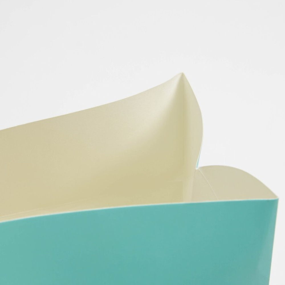 Пакет—коробка «Present», 23 × 18 × 11 см