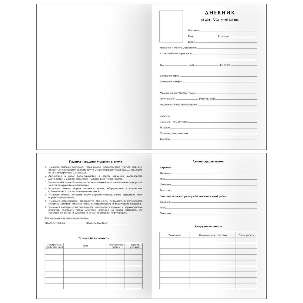 Дневник 1-11 кл. 48л. "Happy laughter" (BG)