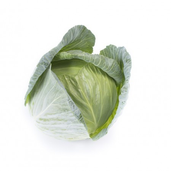 Джинтама F1 семена капусты белокочанной (Rijk Zwaan / Райк Цваан) плод – фото 4