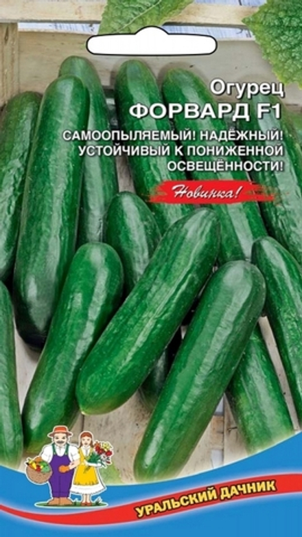 Огурец "G. Форвард F1" 6шт., Россия.