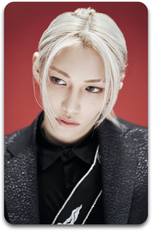 Карта / STRAY KIDS #2085