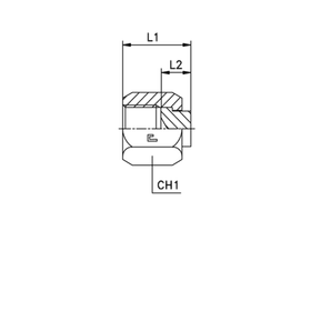 Заглушка V (Г) ORFS 1.11/16