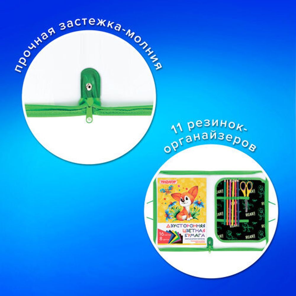 Папка для труда на молнии с ручками ПИФАГОР А4, 1 отделение, пластик, органайзер, "Dino roar", 272230