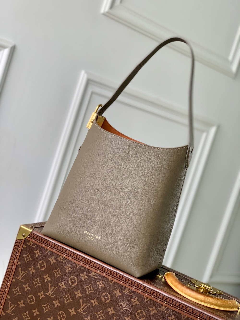 Louis Vuitton Low Key Hobo PM