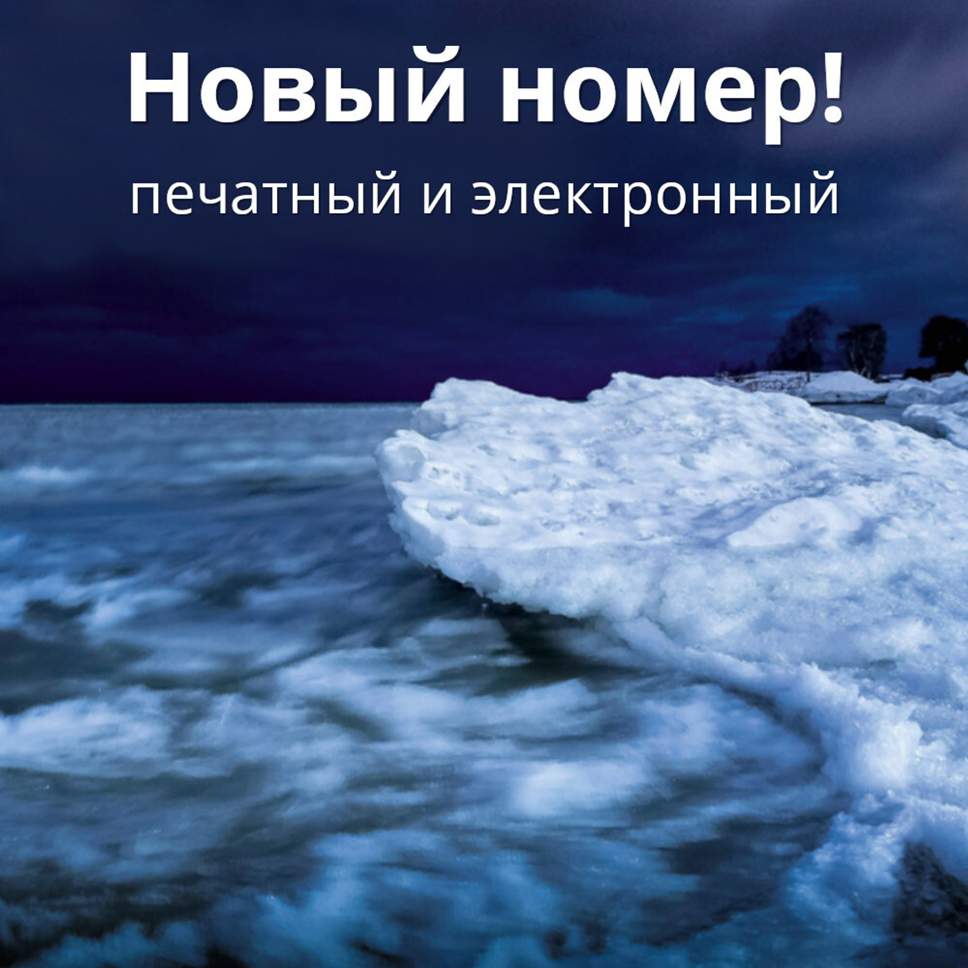 Журнал «Фома» № 12 (260) декабрь 2024 г.