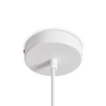 Подвесной светильник Freya FR5530PL-L12W