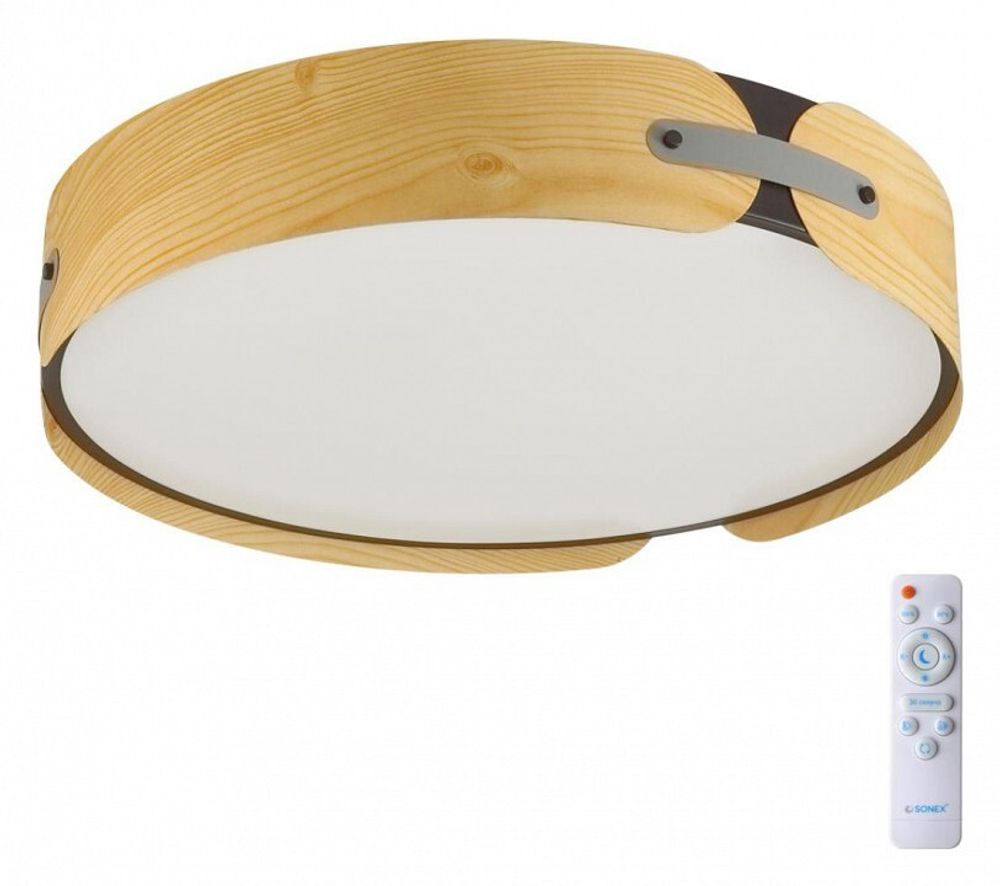 Накладной светильник Sonex Coraggio 7721/120L